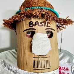 Basil Bottler: Lazy Sod