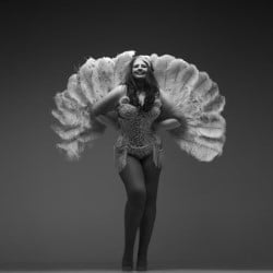 1 Dazzling Cabaret